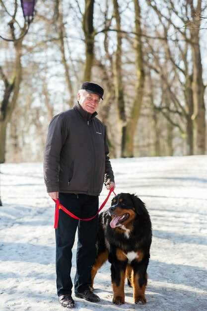 Appenzeller Sennenhunde Zucht in Sachsen – Erfolgreiche Züchter und gesunde Welpen