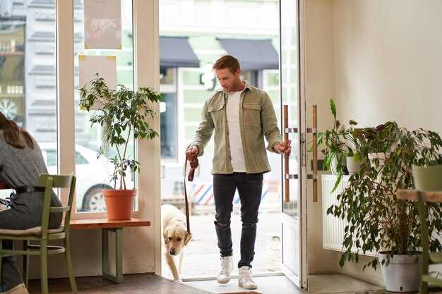 Treppensteigen mit erwachsenen Hunden – Tipps für Gesundheit und Sicherheit