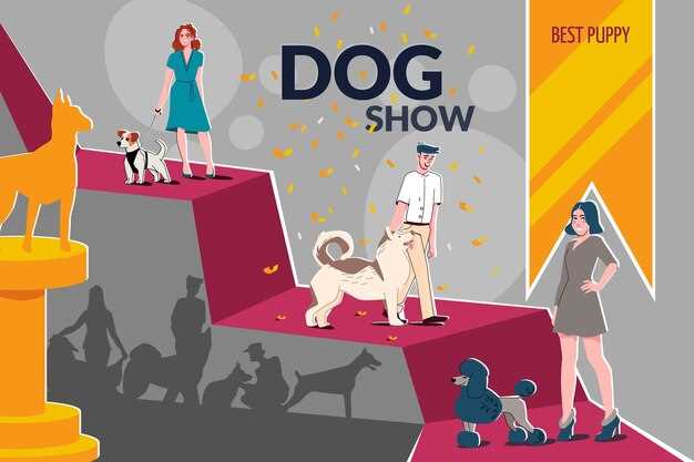 Hundeausstellung Kassel 2016 – Ergebnisse, Highlights & Besondere Momente