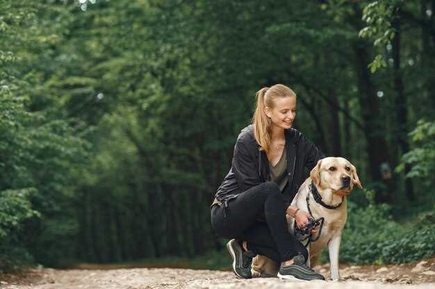 Hundezüchter in Hannover – Finden Sie Ihren idealen Welpen von seriösen Züchtern